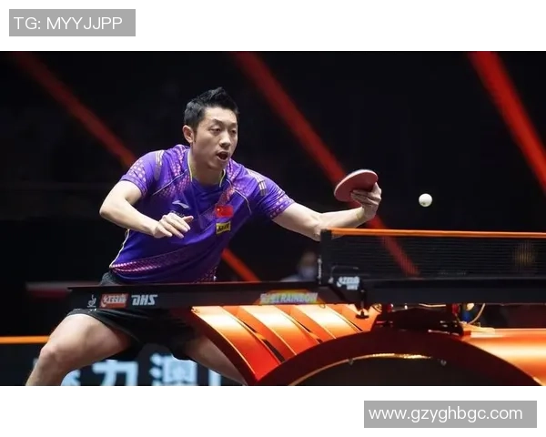 聚焦上海乒乓球队的节奏与发展探讨及未来展望